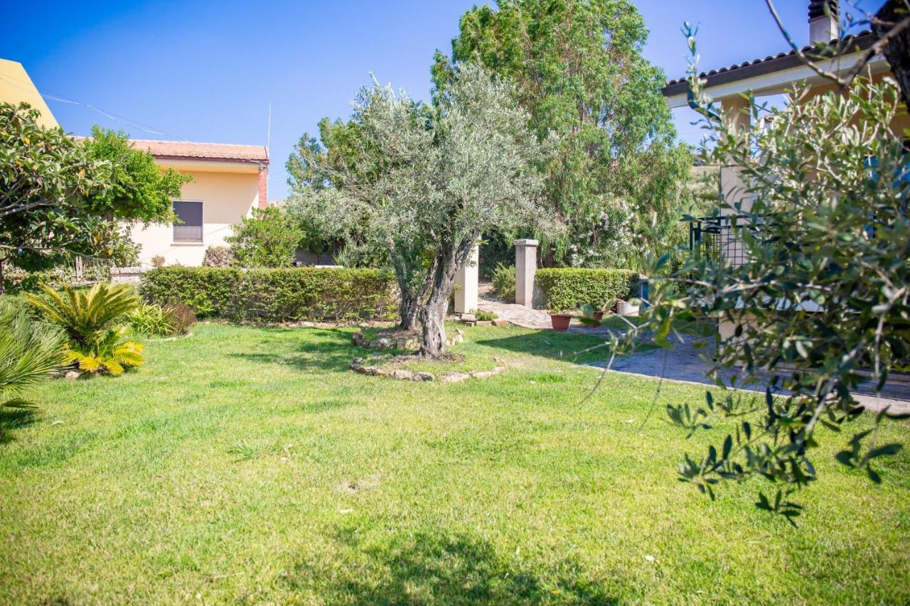 Il Giardino Degli Ulivi Bed & Breakfast Santa Maria Eksteriør bilde